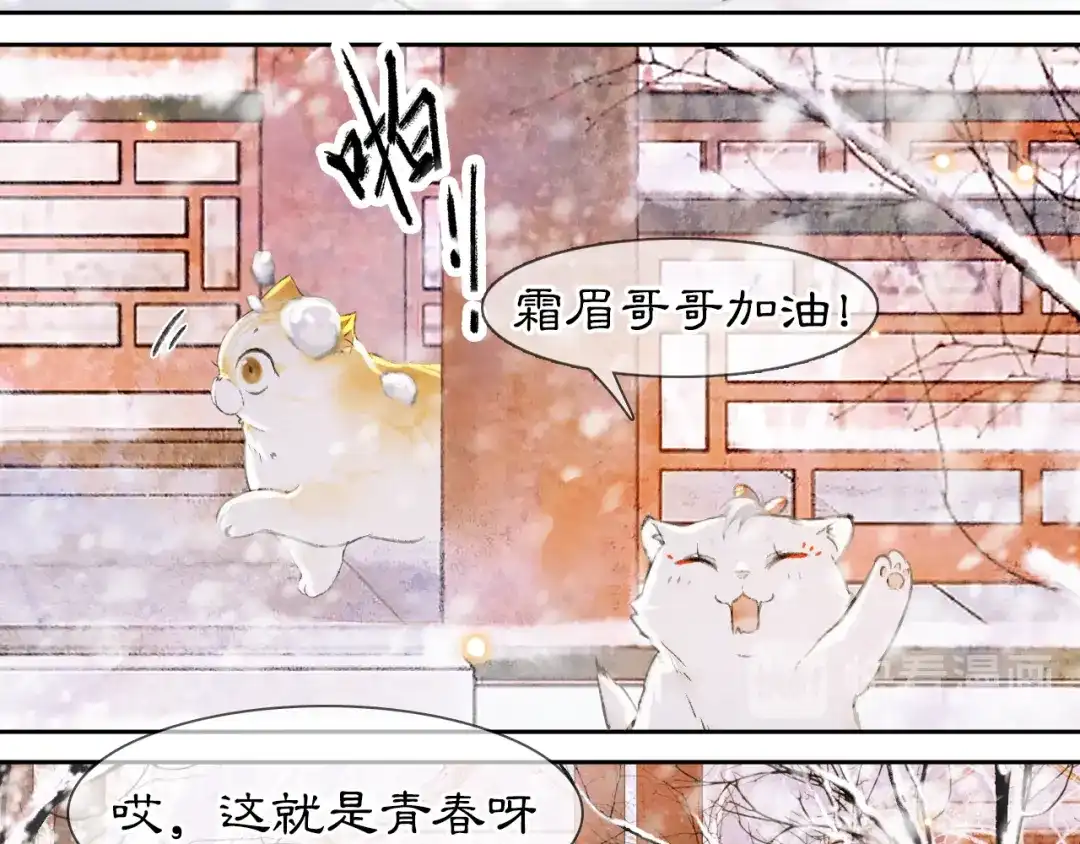 《紫禁·御喵房》番外 下雪啦~ 第37页
