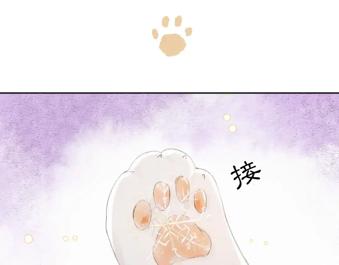 《紫禁·御喵房》番外 下雪啦~ 第19页