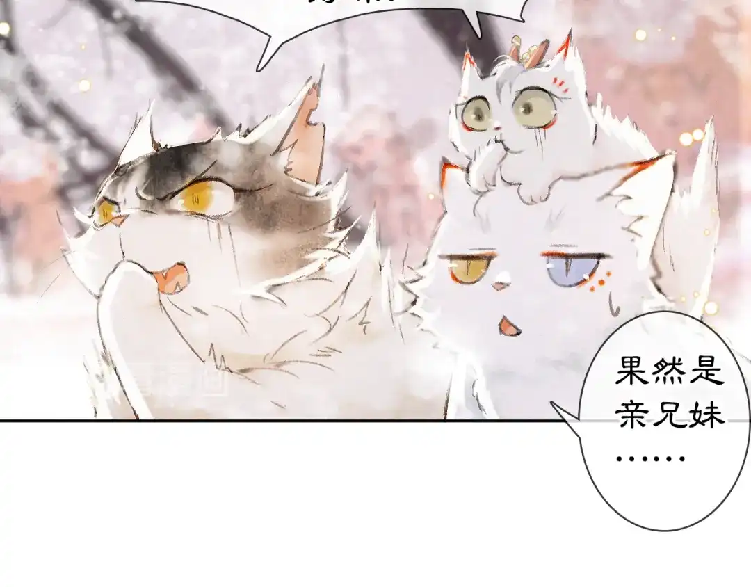 《紫禁·御喵房》番外 下雪啦~ 第22页