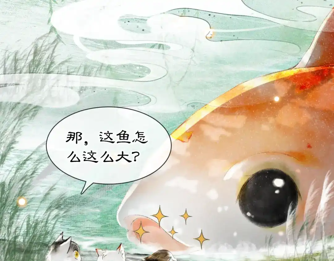 《紫禁·御喵房》第16话 鱼也吸猫？ 第2页