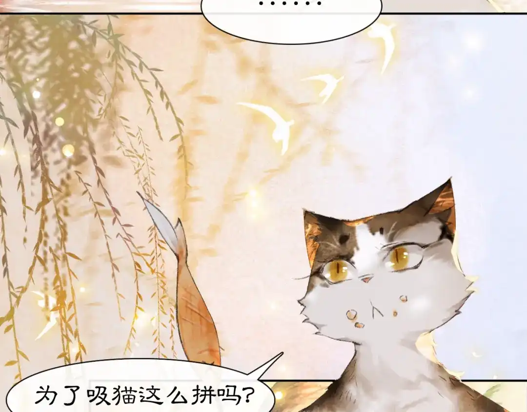 《紫禁·御喵房》第16话 鱼也吸猫？ 第36页