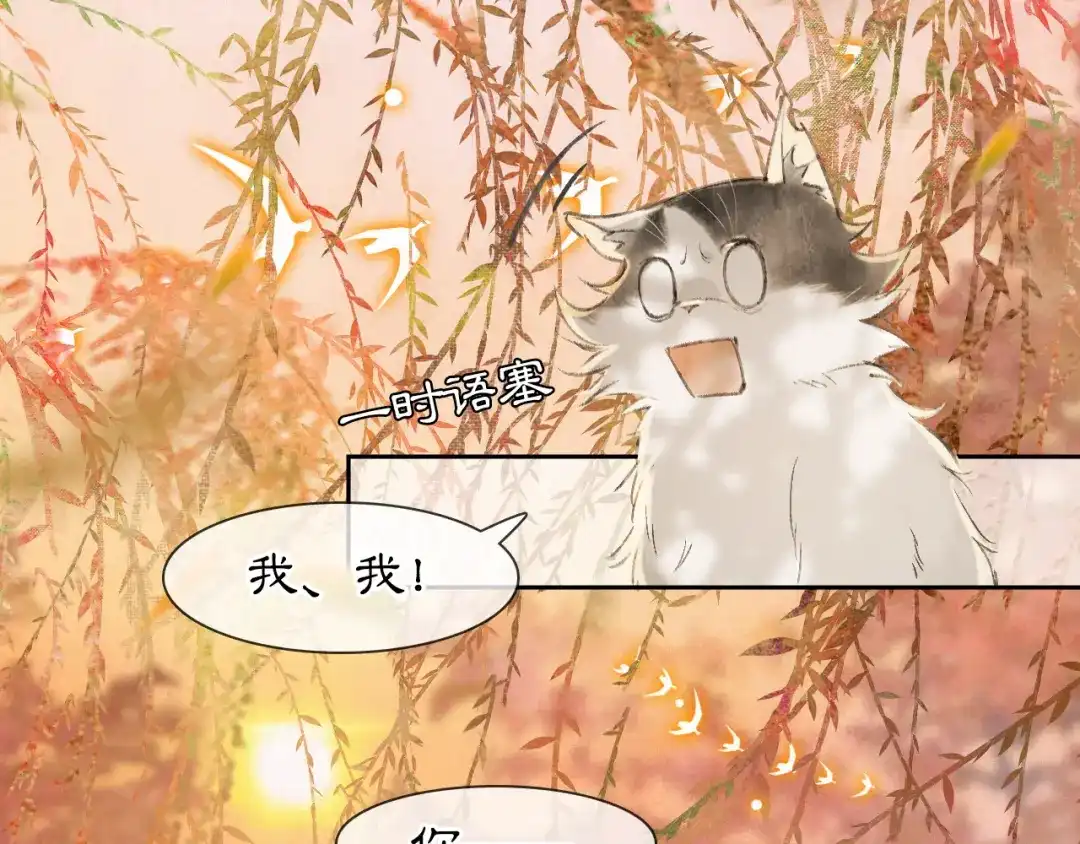 《紫禁·御喵房》第16话 鱼也吸猫？ 第43页