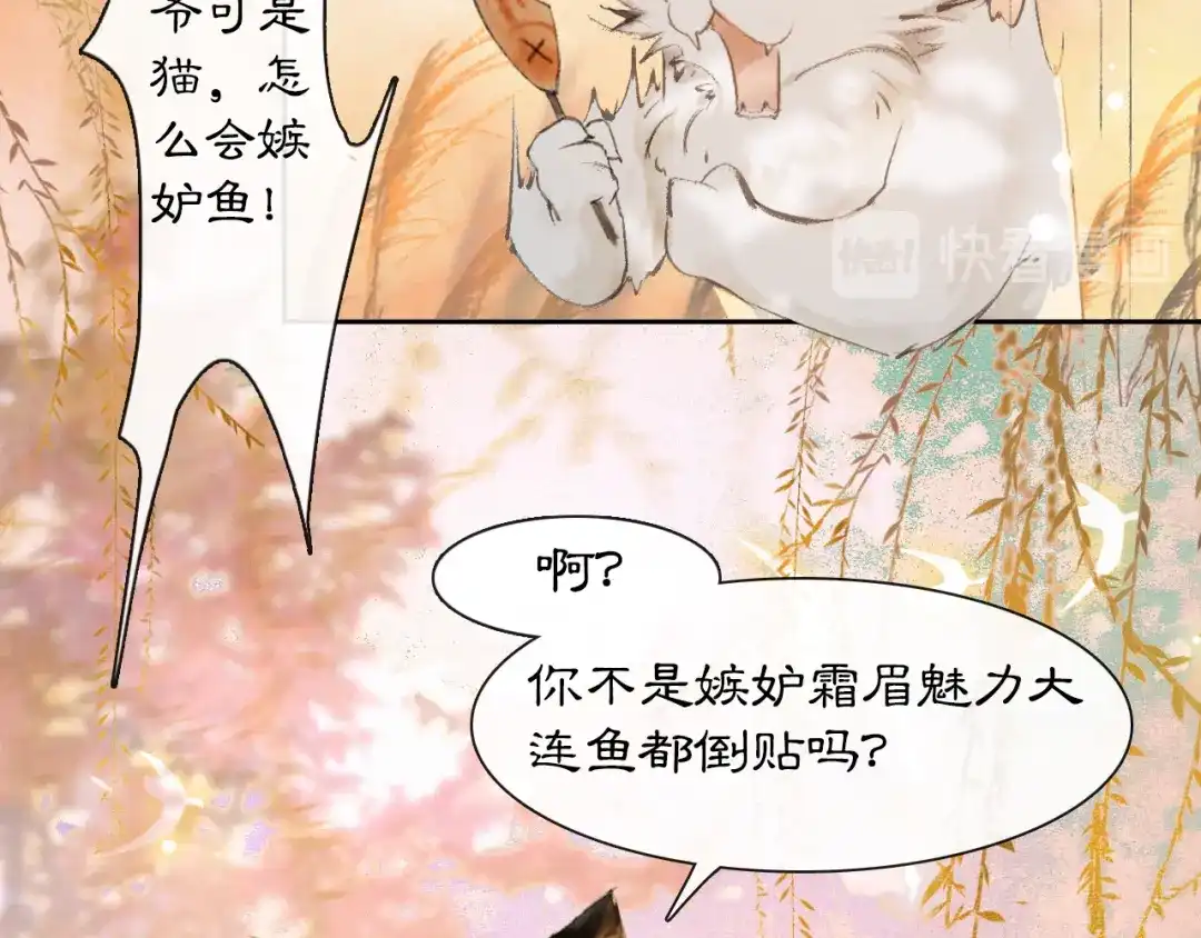 《紫禁·御喵房》第16话 鱼也吸猫？ 第41页