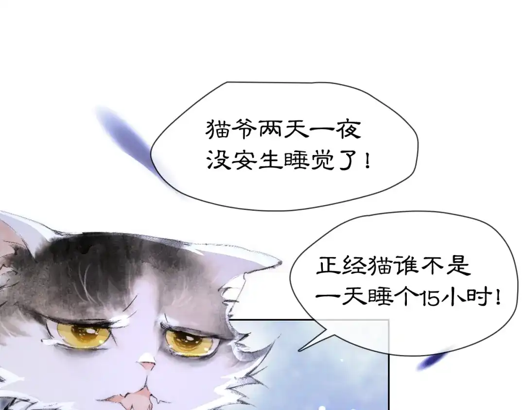 《紫禁·御喵房》第19话 深夜，猫与鱼 第39页