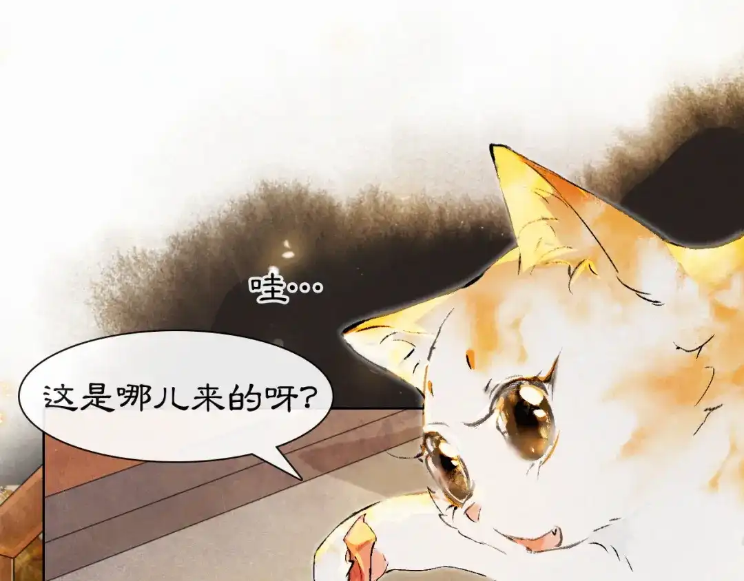 《紫禁·御喵房》番外3 第一个春节 第9页