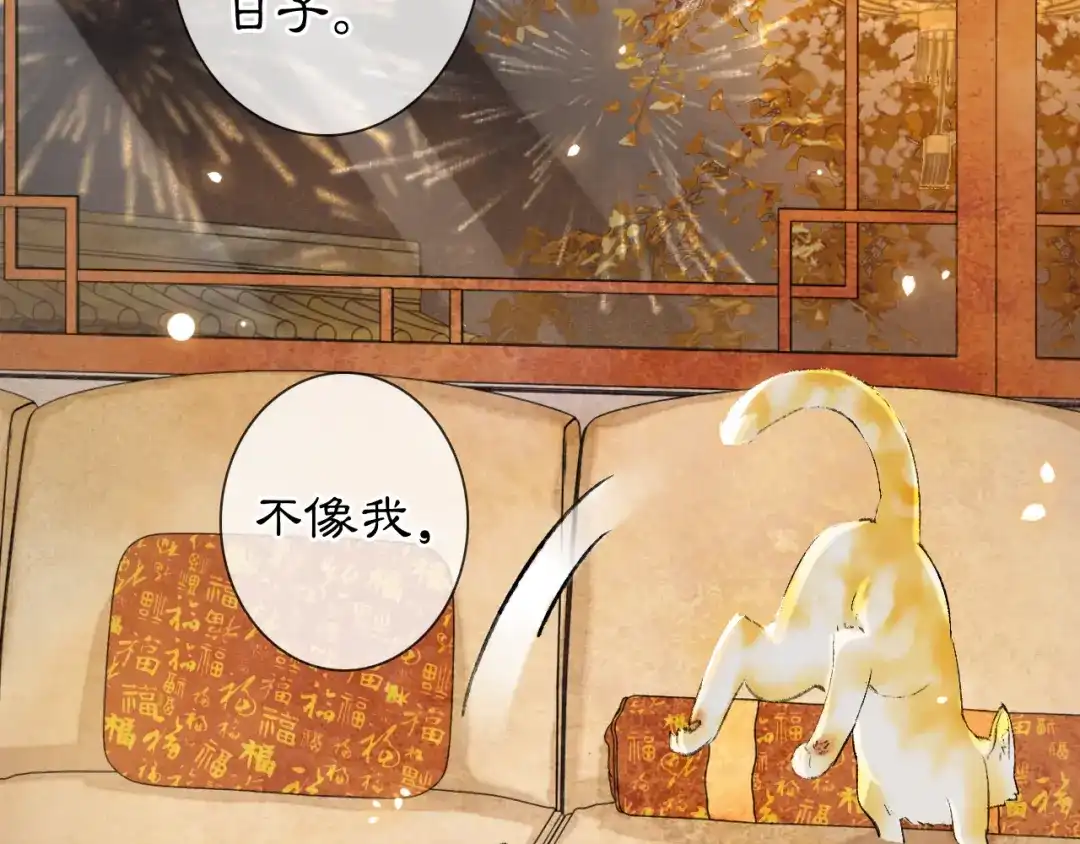 《紫禁·御喵房》番外3 第一个春节 第46页