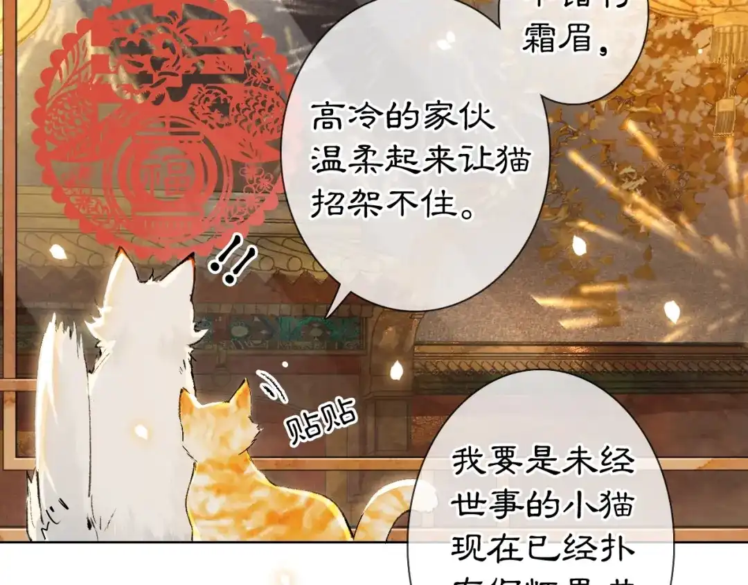 《紫禁·御喵房》番外3 第一个春节 第38页