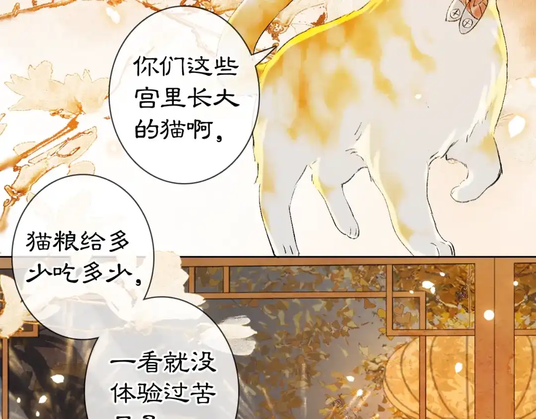 《紫禁·御喵房》番外3 第一个春节 第45页