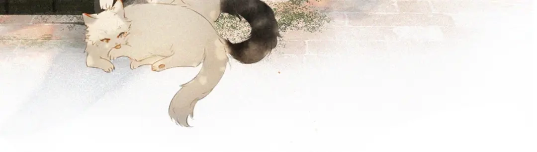 《紫禁·御喵房》序章 萌猫出击！ 第12页