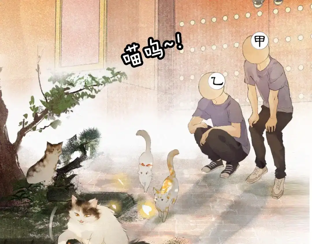 《紫禁·御喵房》序章 萌猫出击！ 第11页