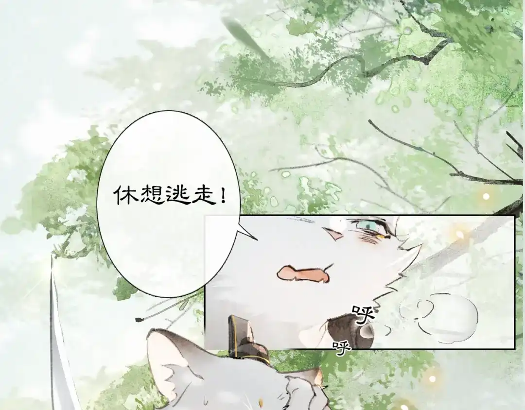 《紫禁·御喵房》第25话 乌淼的计划 第46页