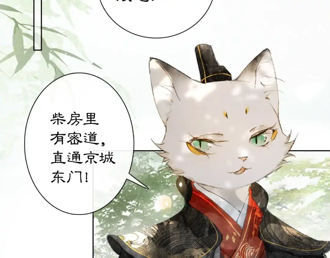 《紫禁·御喵房》第27话 临时同盟 第34页