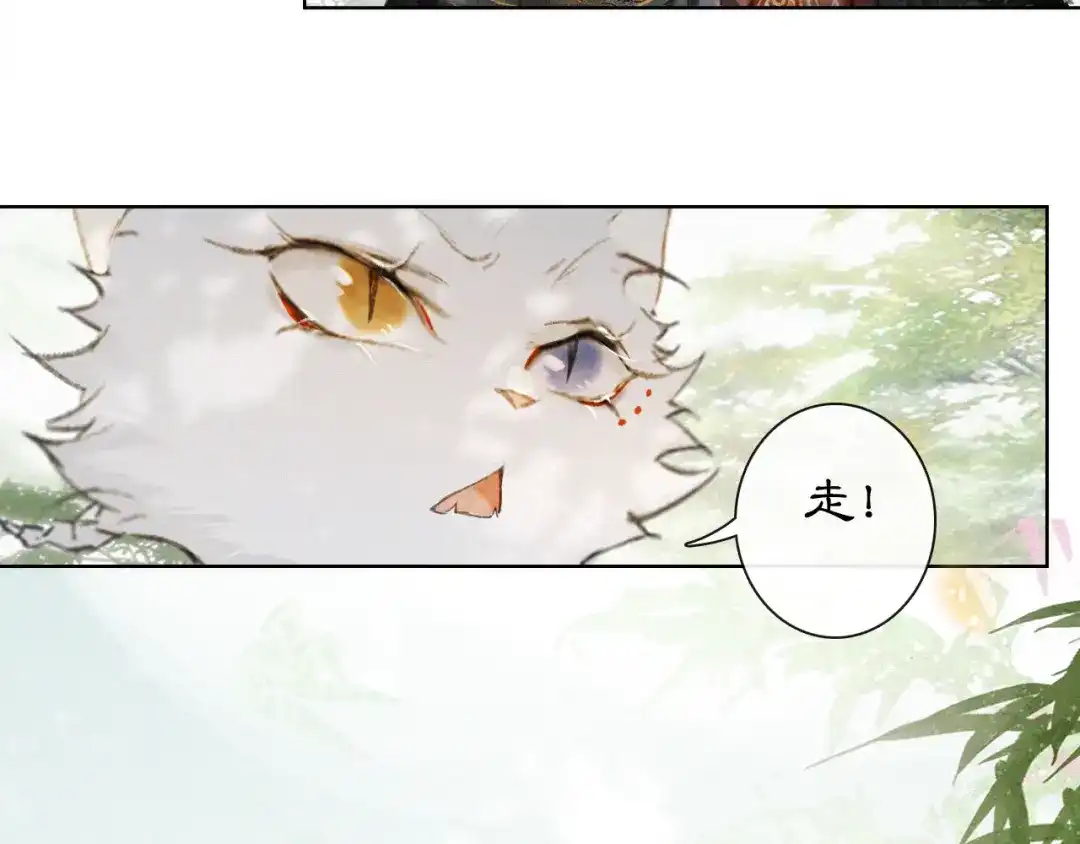《紫禁·御喵房》第27话 临时同盟 第35页
