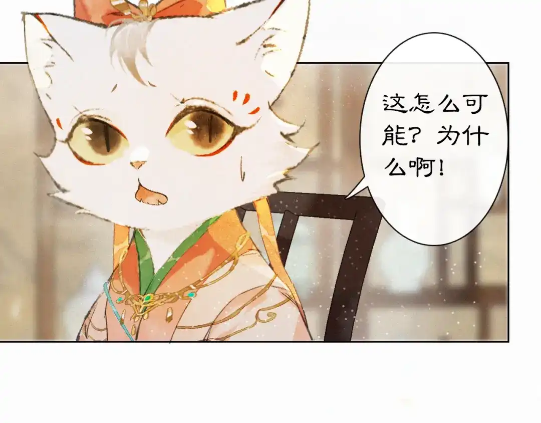 《紫禁·御喵房》第27话 临时同盟 第41页