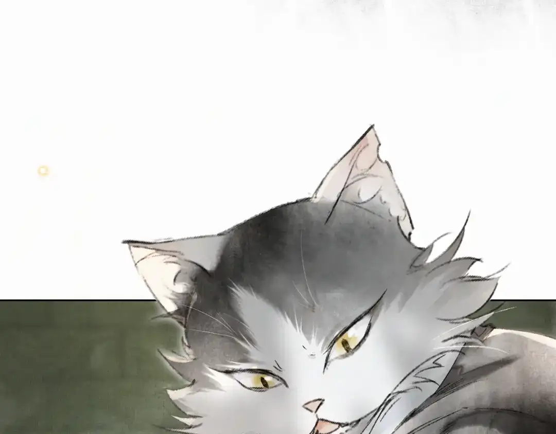 《紫禁·御喵房》第28话 有“猫腻”的柴房 第44页