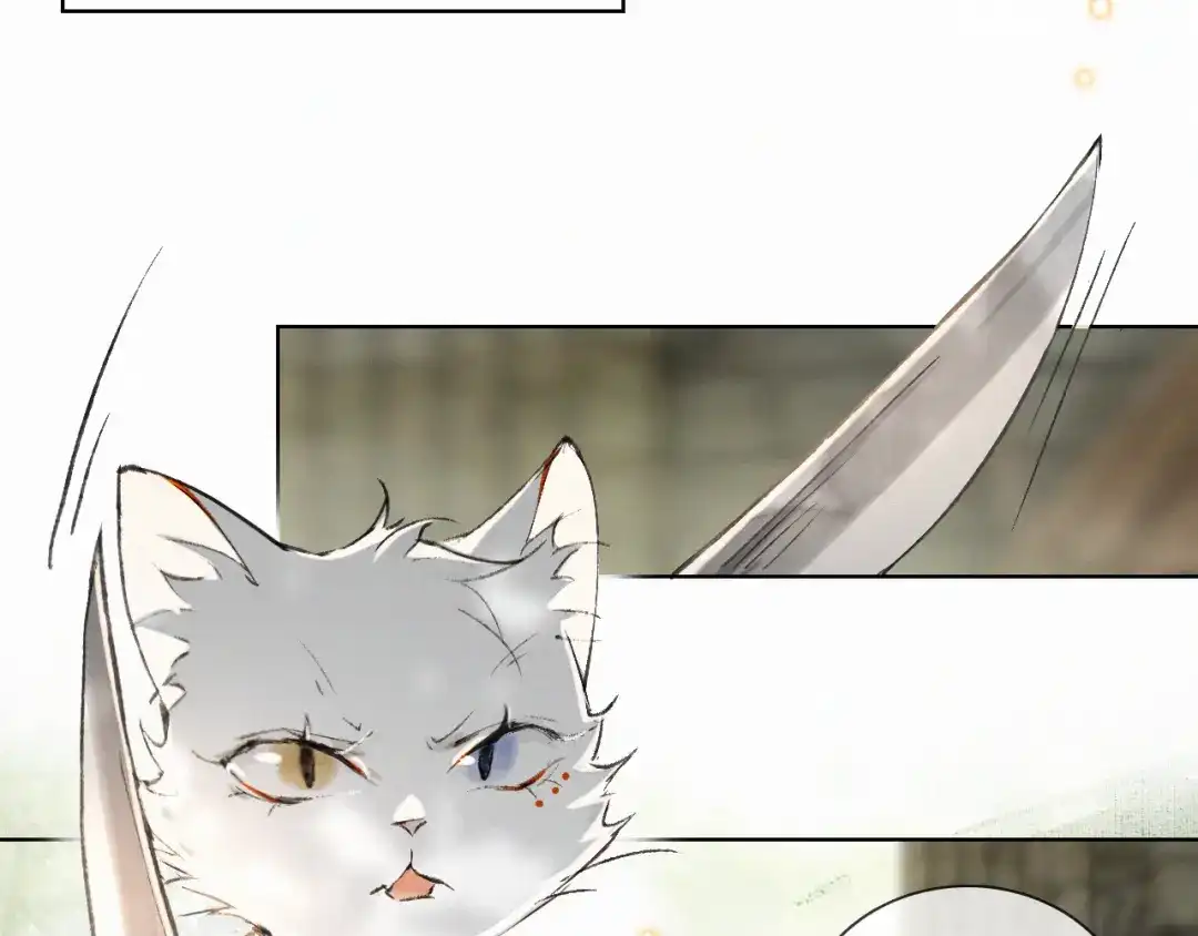《紫禁·御喵房》第28话 有“猫腻”的柴房 第26页