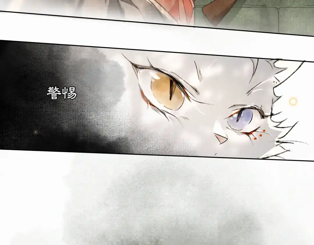 《紫禁·御喵房》第28话 有“猫腻”的柴房 第16页