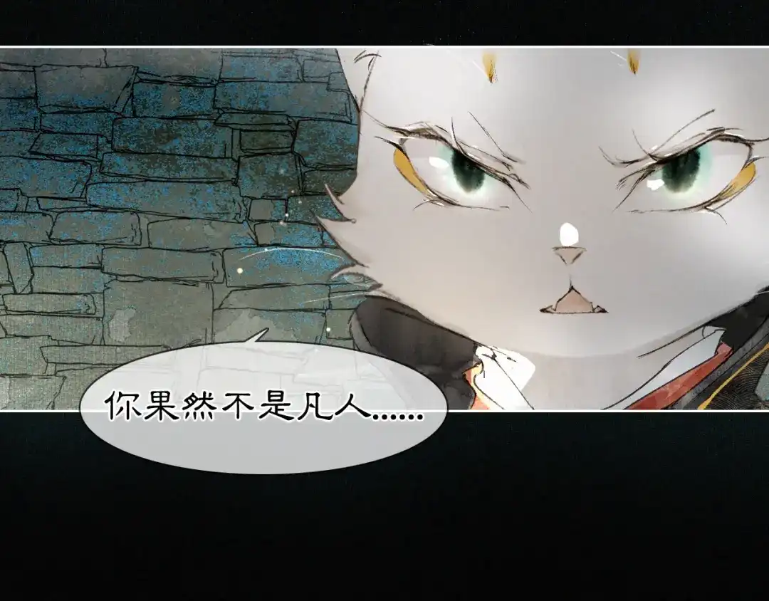 《紫禁·御喵房》第29话 你们不属于这个世界 第29页