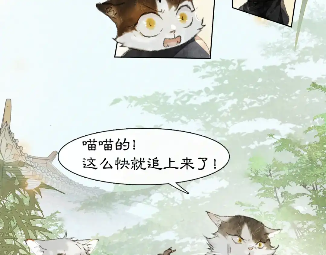 《紫禁·御喵房》第30话 飞天御猫 第47页