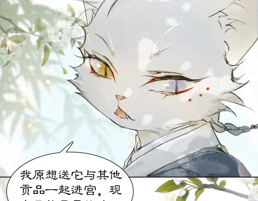 《紫禁·御喵房》第30话 飞天御猫 第41页