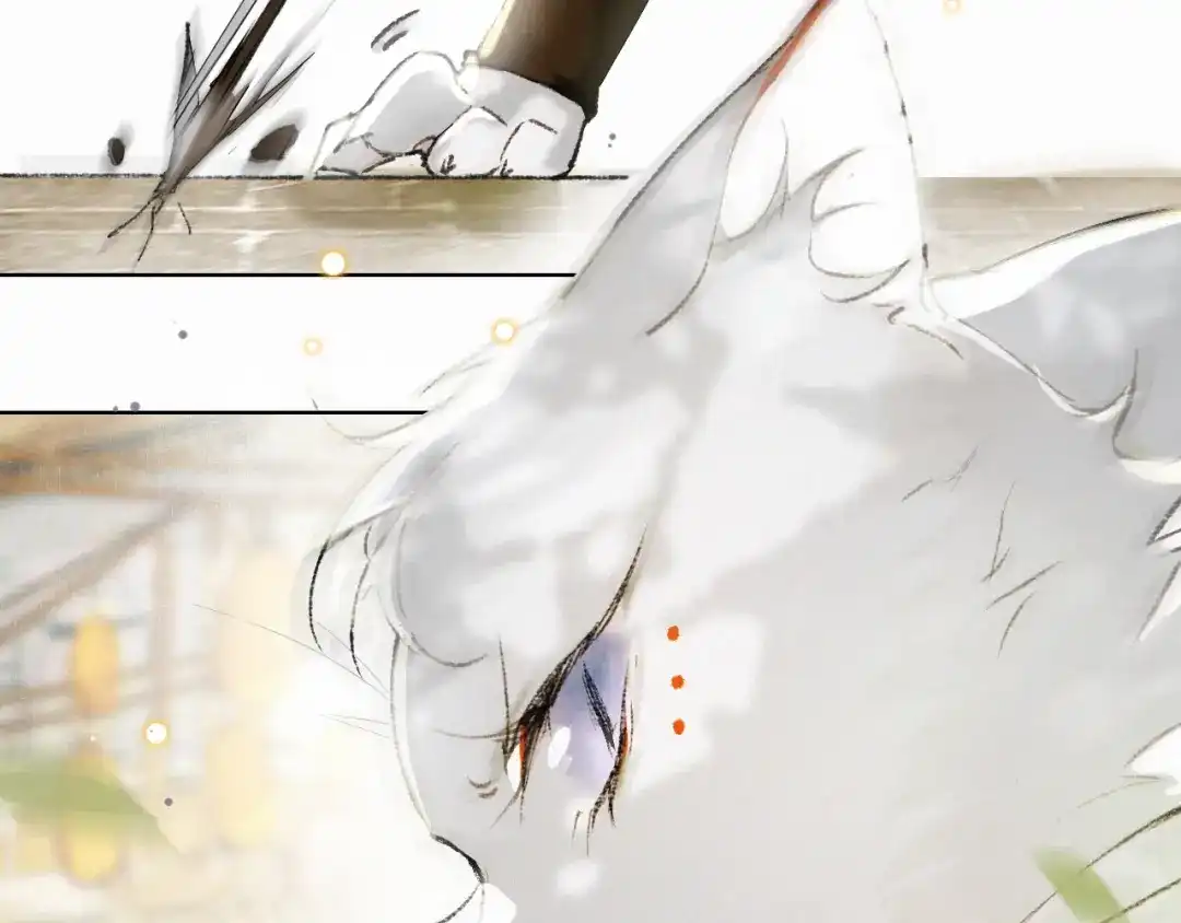 《紫禁·御喵房》第31话 迎战！ 第2页