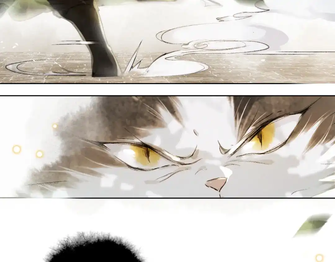 《紫禁·御喵房》第31话 迎战！ 第17页