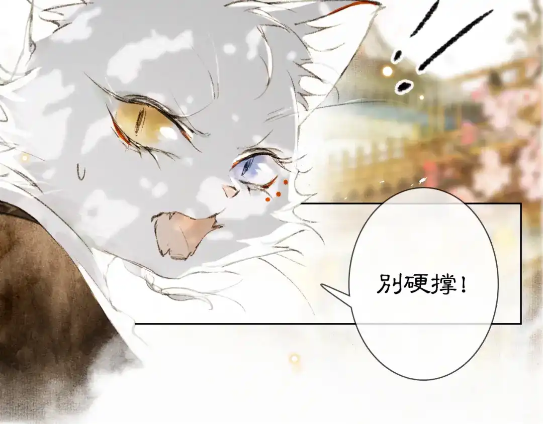 《紫禁·御喵房》第31话 迎战！ 第20页