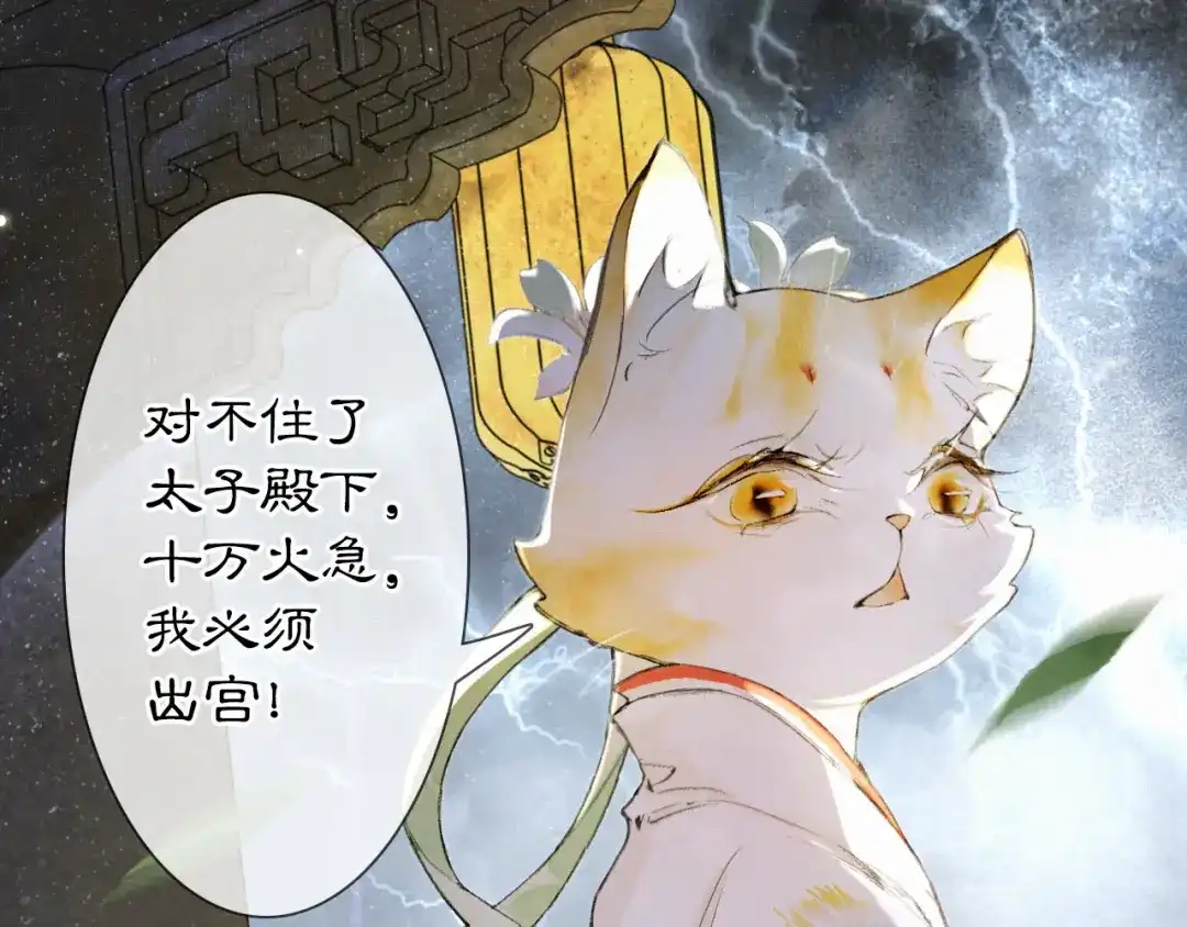《紫禁·御喵房》第33话 交给你了——平安 第23页