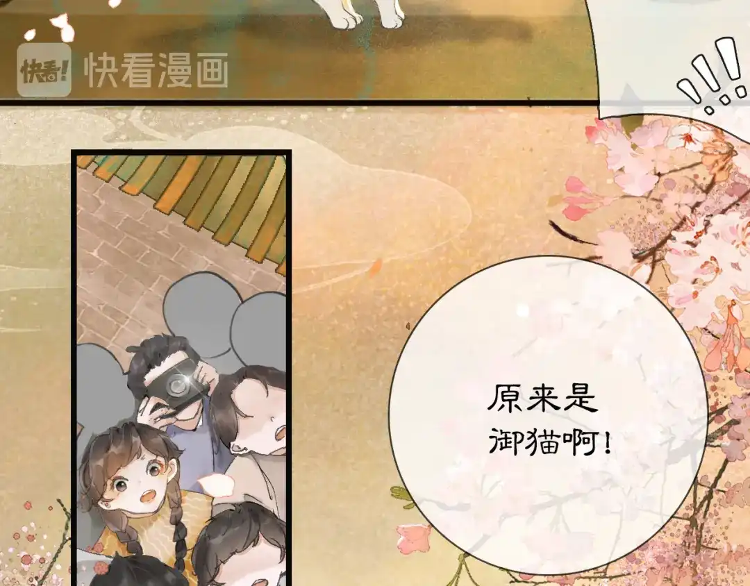 《紫禁·御喵房》第1话 御猫的神秘生活 第15页