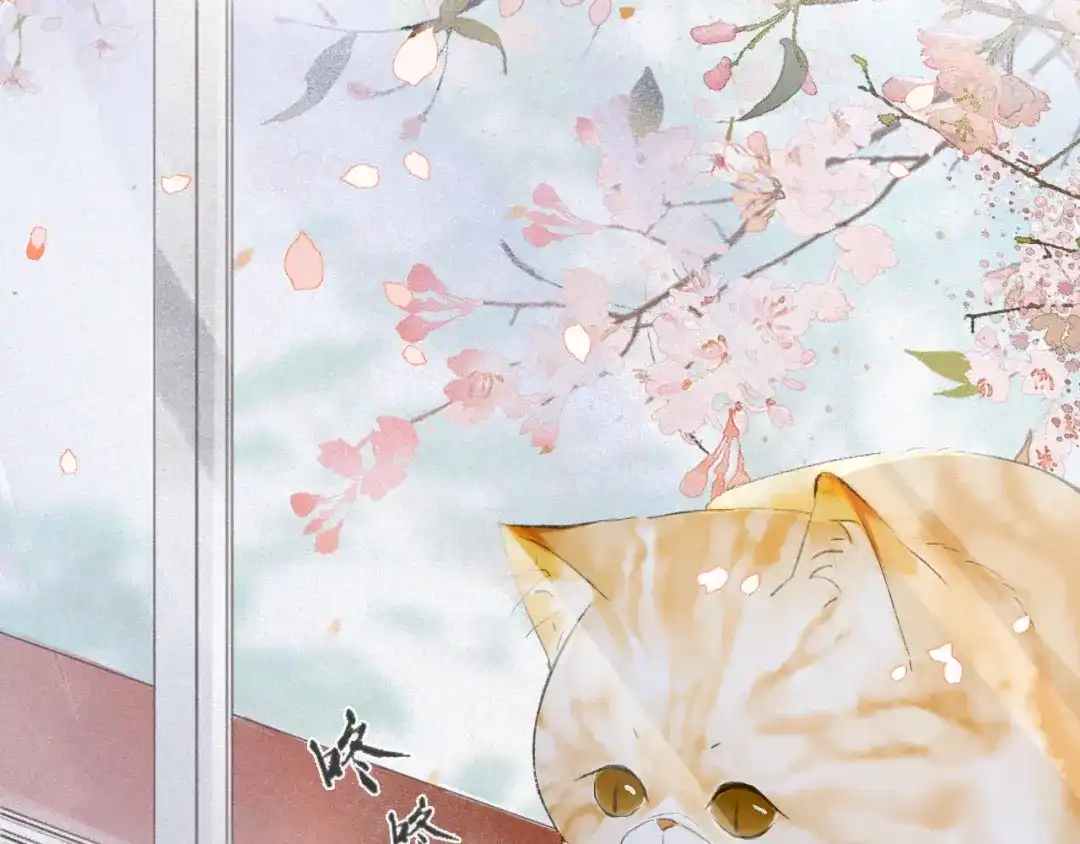 《紫禁·御喵房》第1话 御猫的神秘生活 第73页