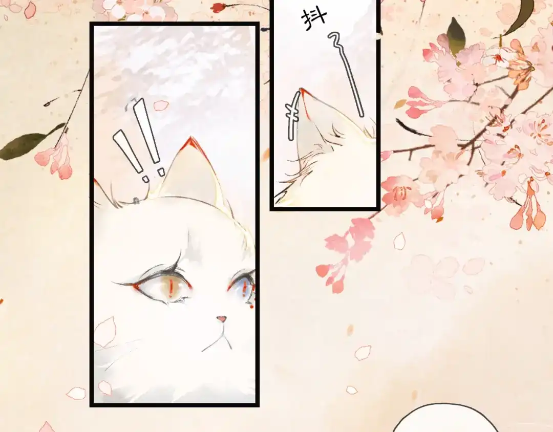 《紫禁·御喵房》第1话 御猫的神秘生活 第13页