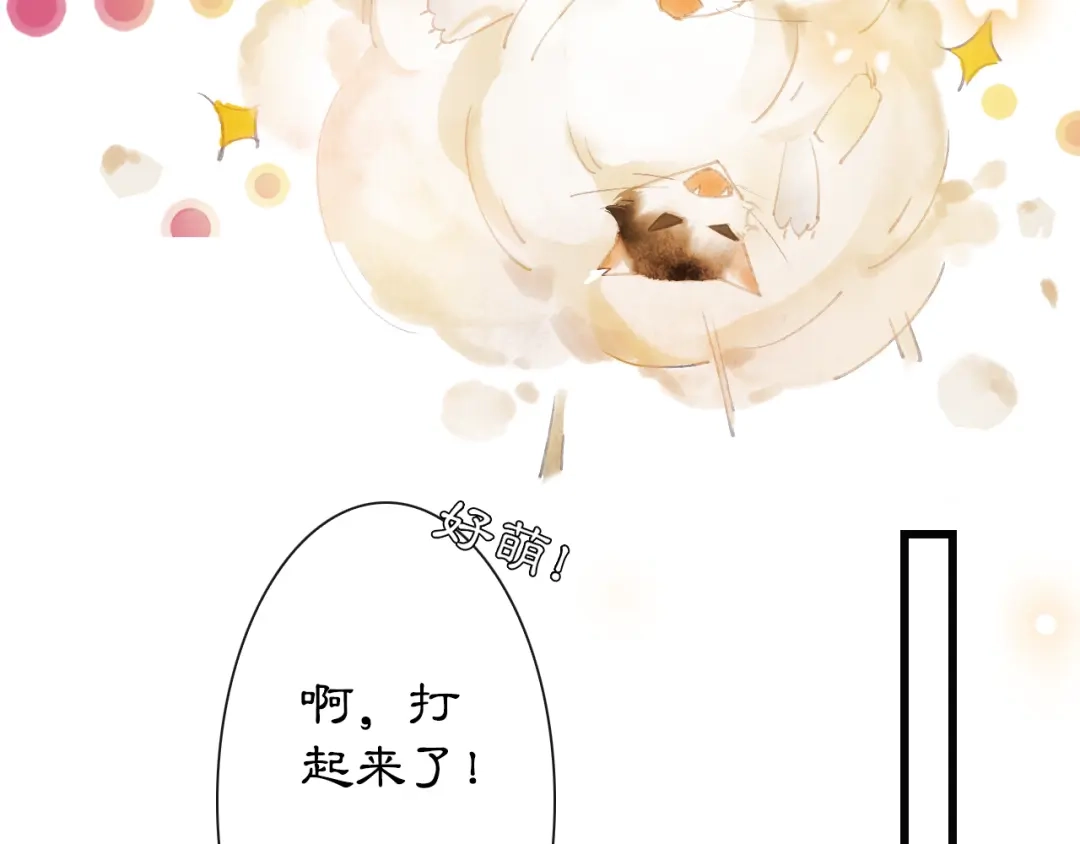 《紫禁·御喵房》第1话 御猫的神秘生活 第34页