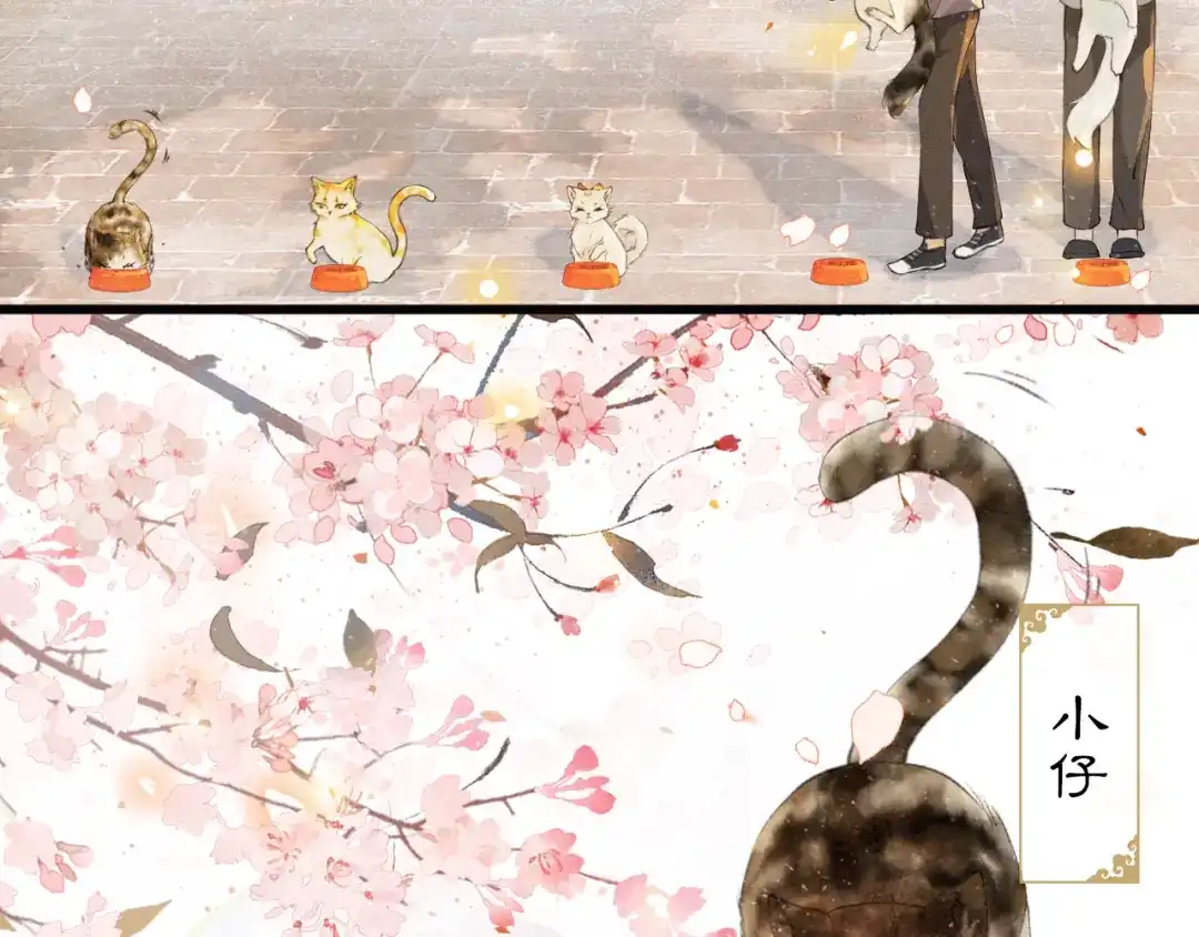 《紫禁·御喵房》第1话 御猫的神秘生活 第43页