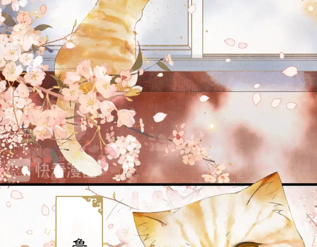 《紫禁·御喵房》第1话 御猫的神秘生活 第66页