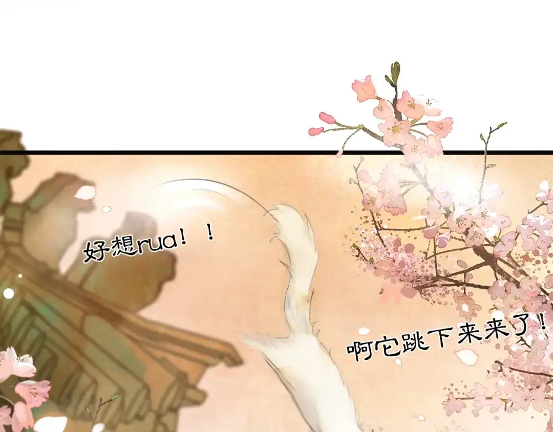 《紫禁·御喵房》第1话 御猫的神秘生活 第18页