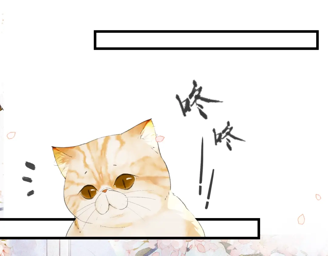 《紫禁·御喵房》第1话 御猫的神秘生活 第72页