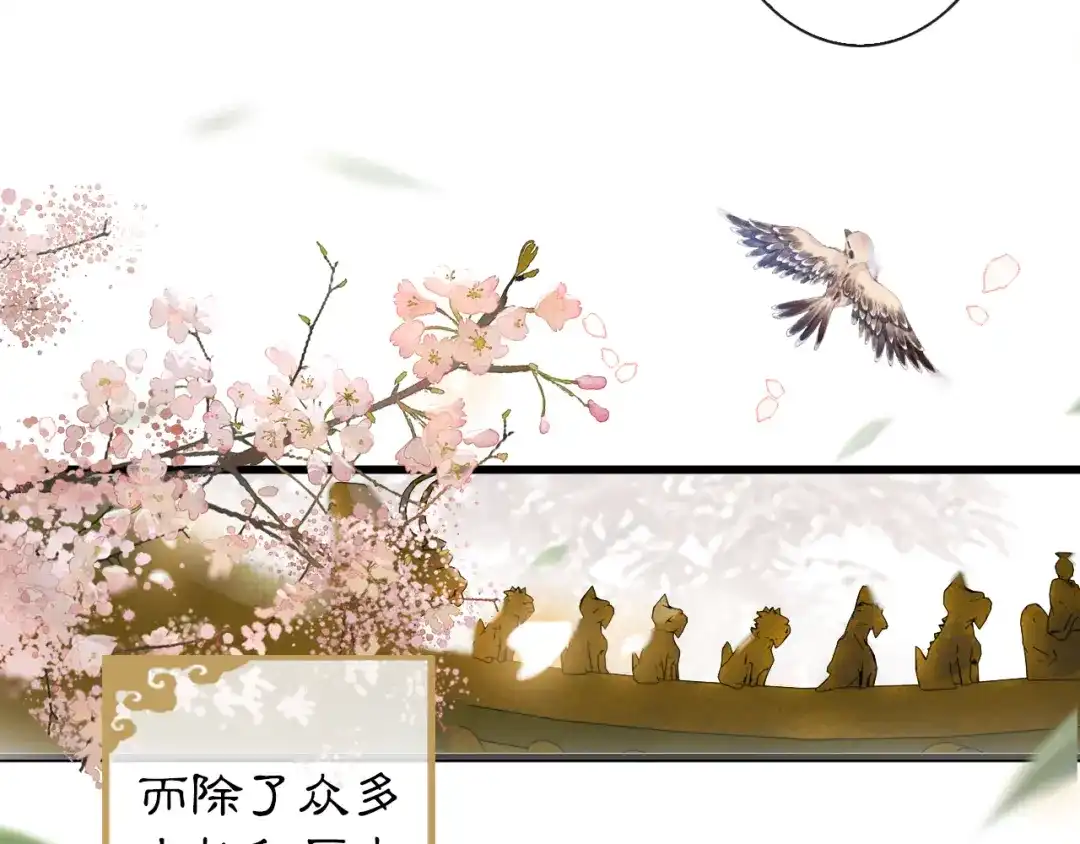 《紫禁·御喵房》第1话 御猫的神秘生活 第9页