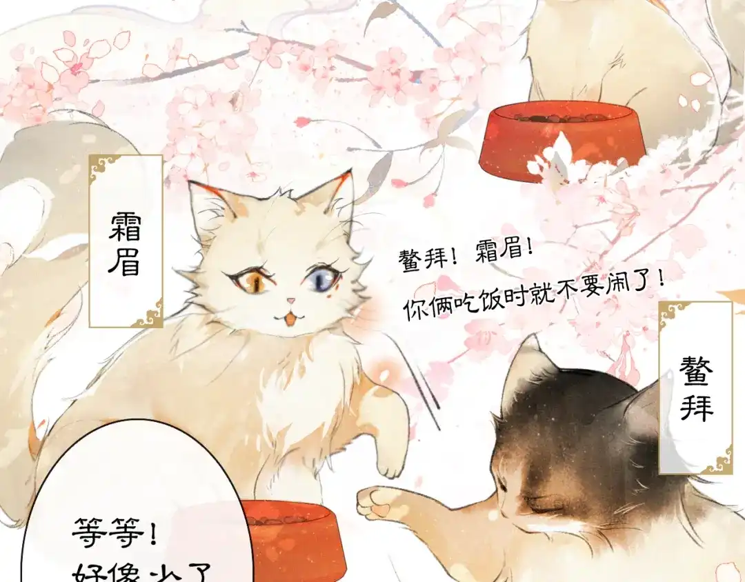 《紫禁·御喵房》第1话 御猫的神秘生活 第45页