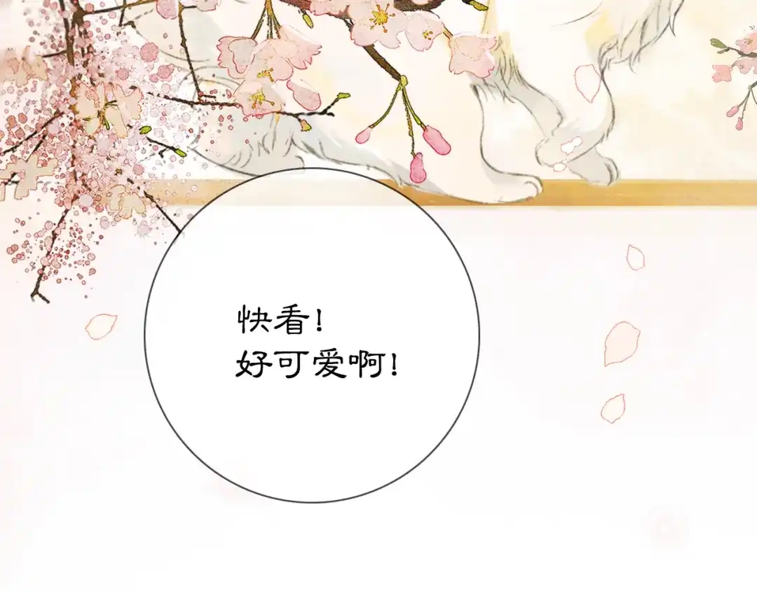《紫禁·御喵房》第1话 御猫的神秘生活 第17页