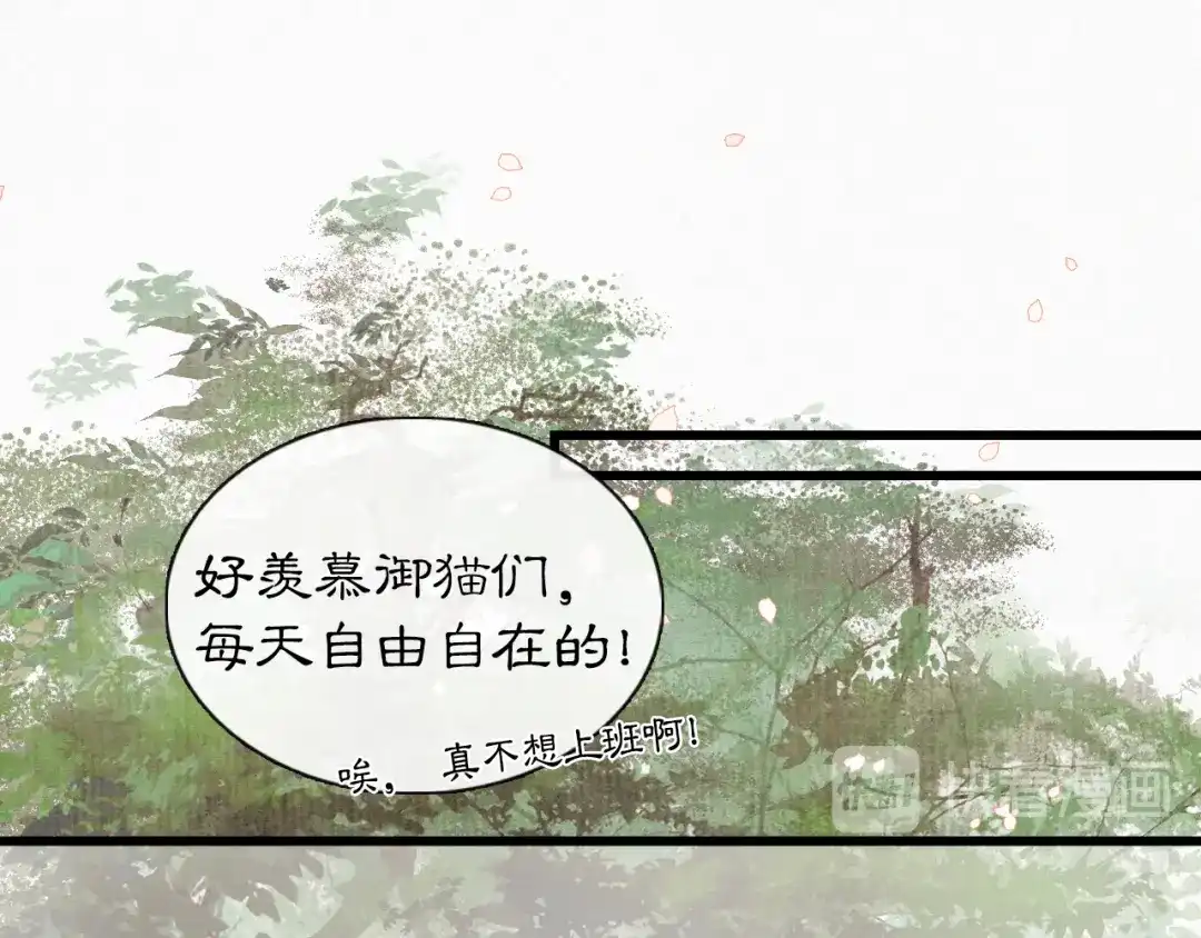 《紫禁·御喵房》第1话 御猫的神秘生活 第49页