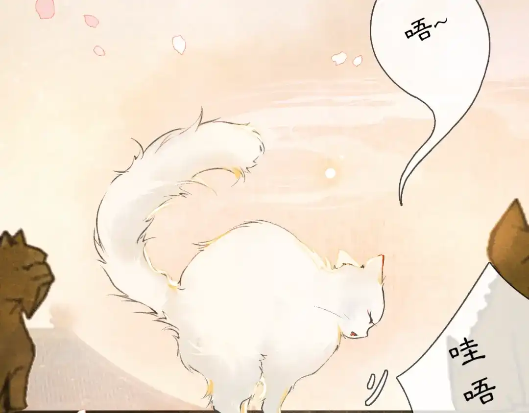 《紫禁·御喵房》第1话 御猫的神秘生活 第14页