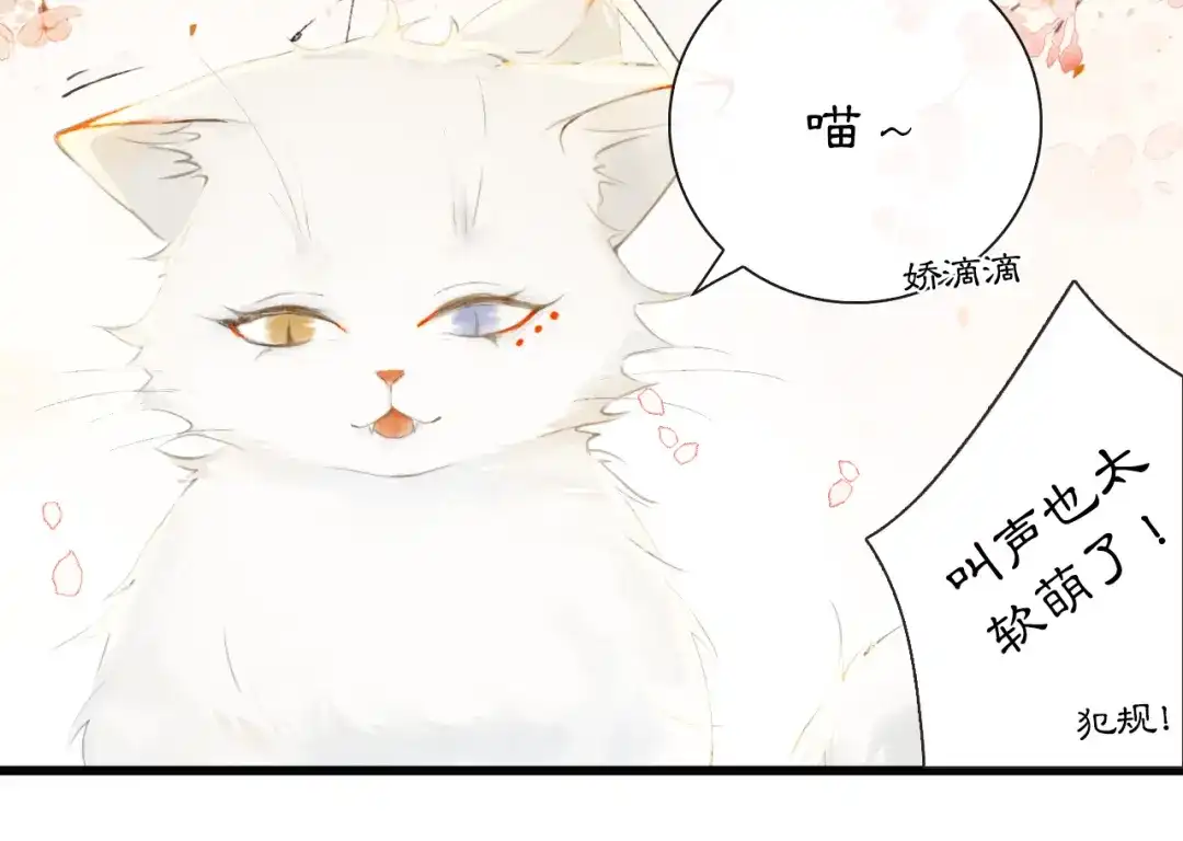 《紫禁·御喵房》第1话 御猫的神秘生活 第26页