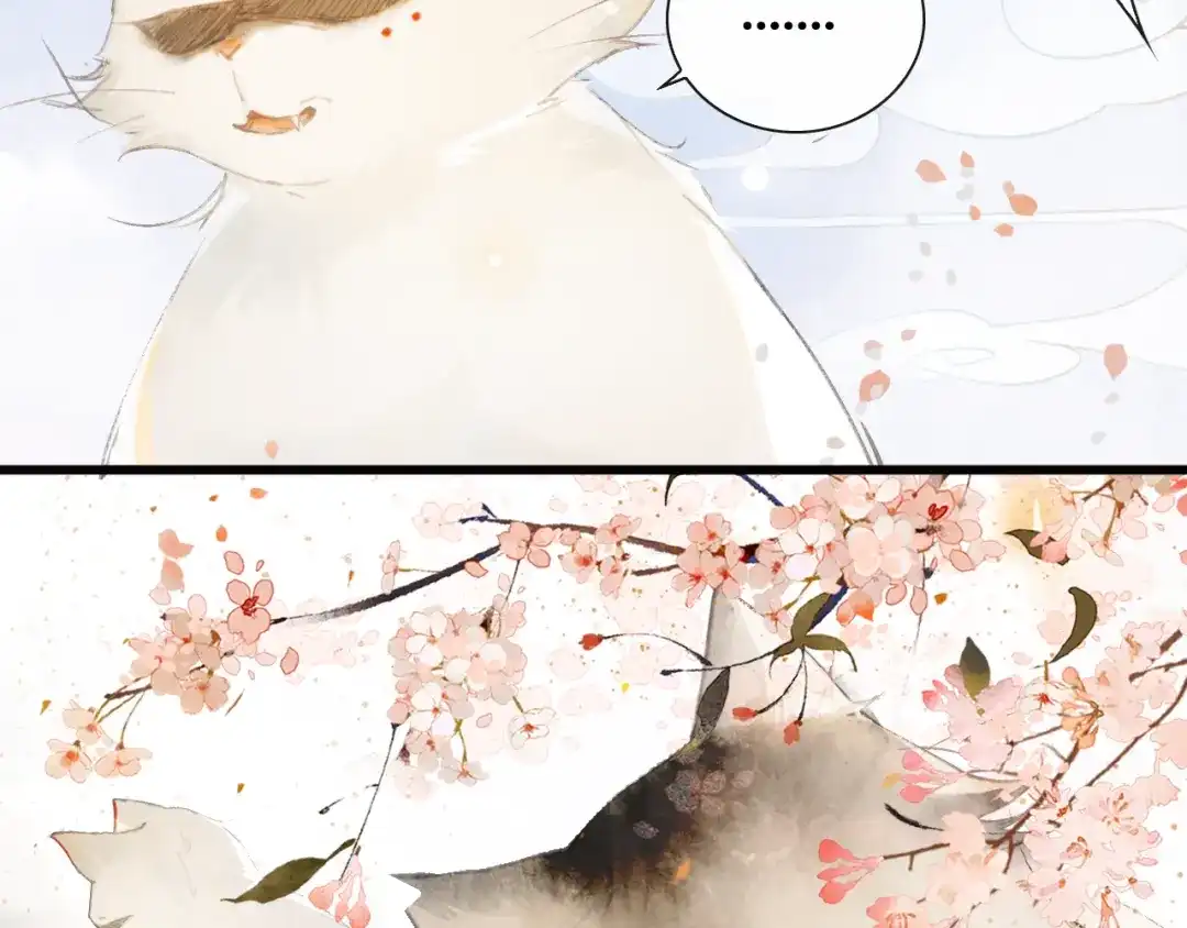 《紫禁·御喵房》第1话 御猫的神秘生活 第28页