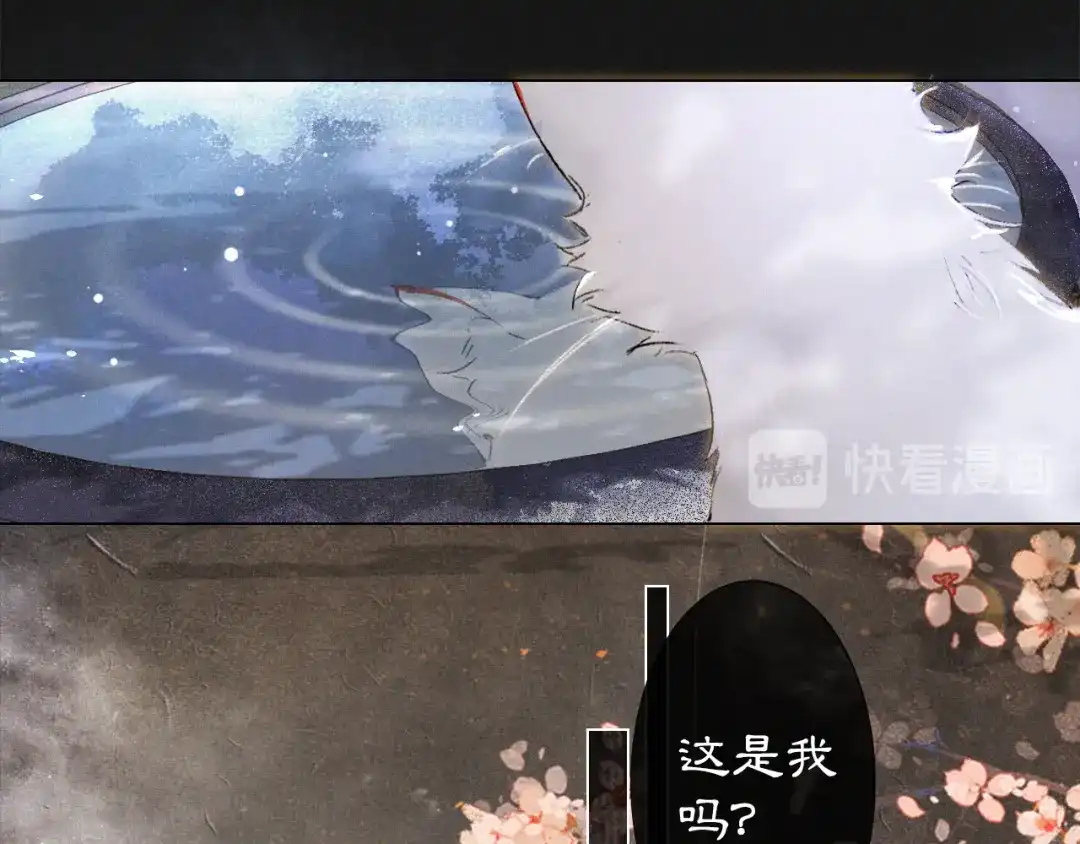 《紫禁·御喵房》第35话 云开月明 第66页