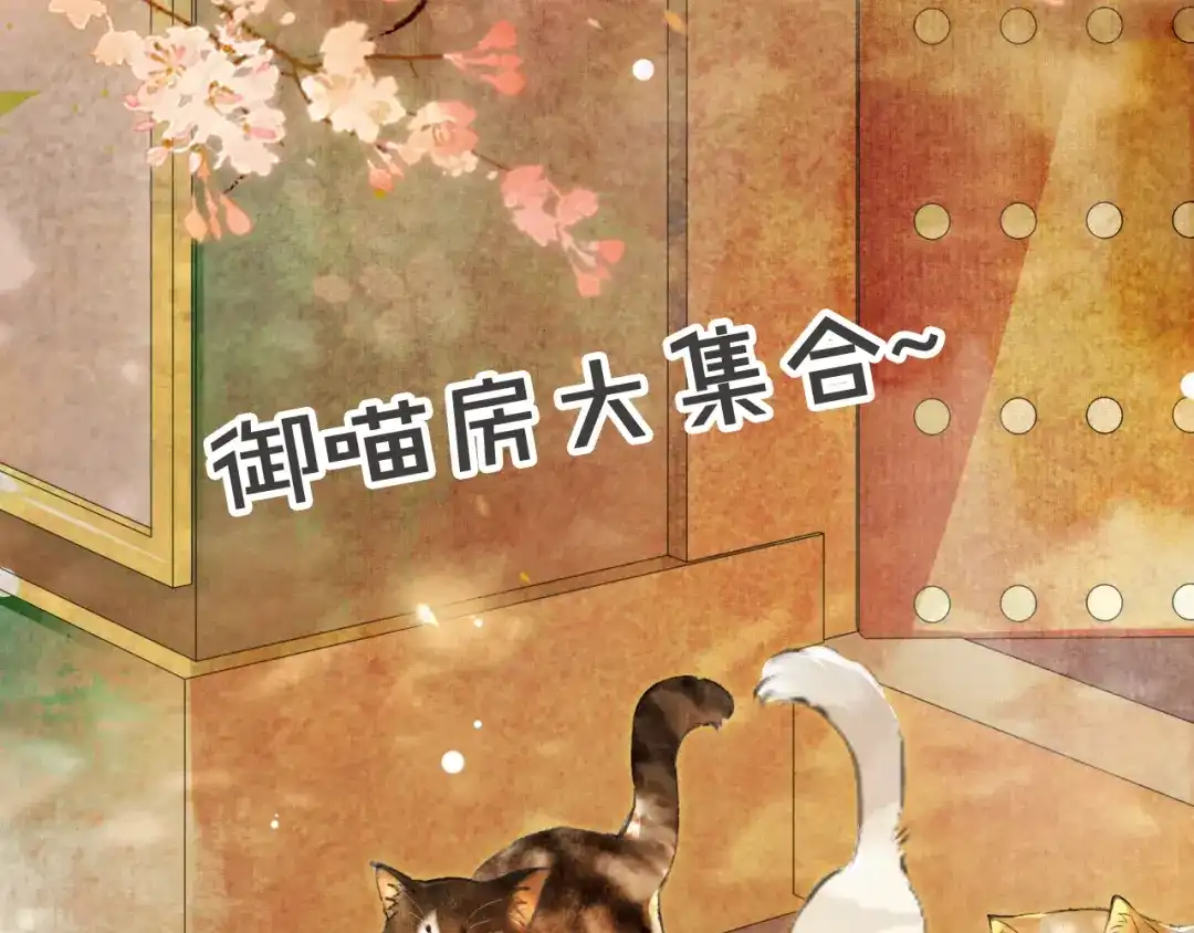 《紫禁·御喵房》第39话 霜眉的心 第78页