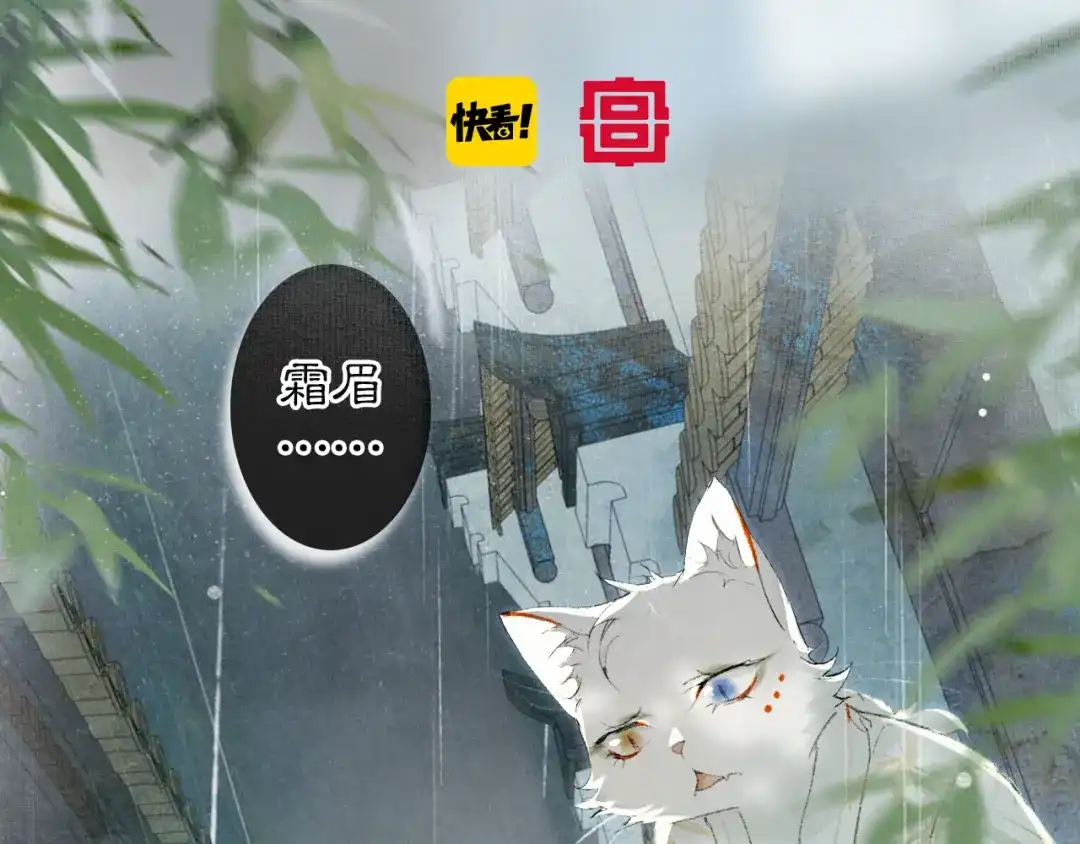 《紫禁·御喵房》第39话 霜眉的心 第5页