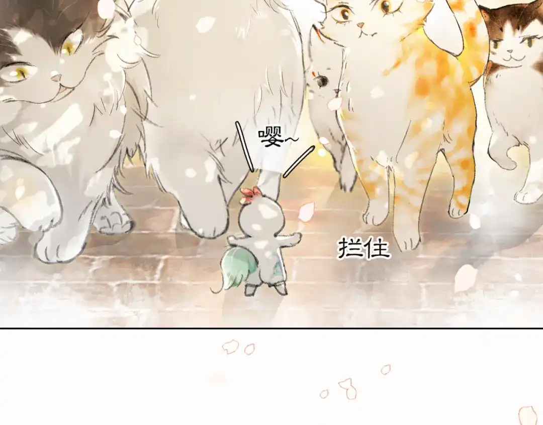 《紫禁·御喵房》第40话 文物的价值 第36页
