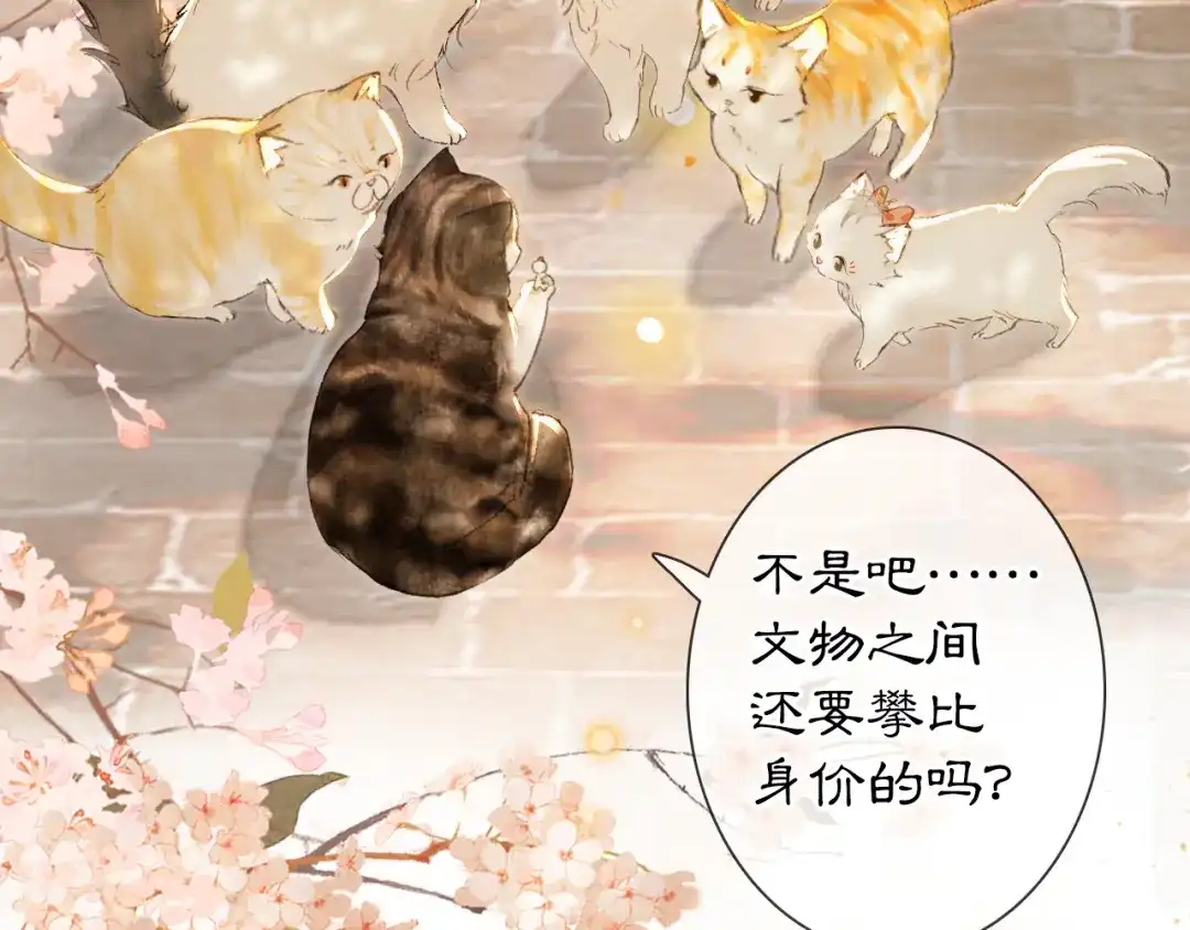 《紫禁·御喵房》第40话 文物的价值 第52页