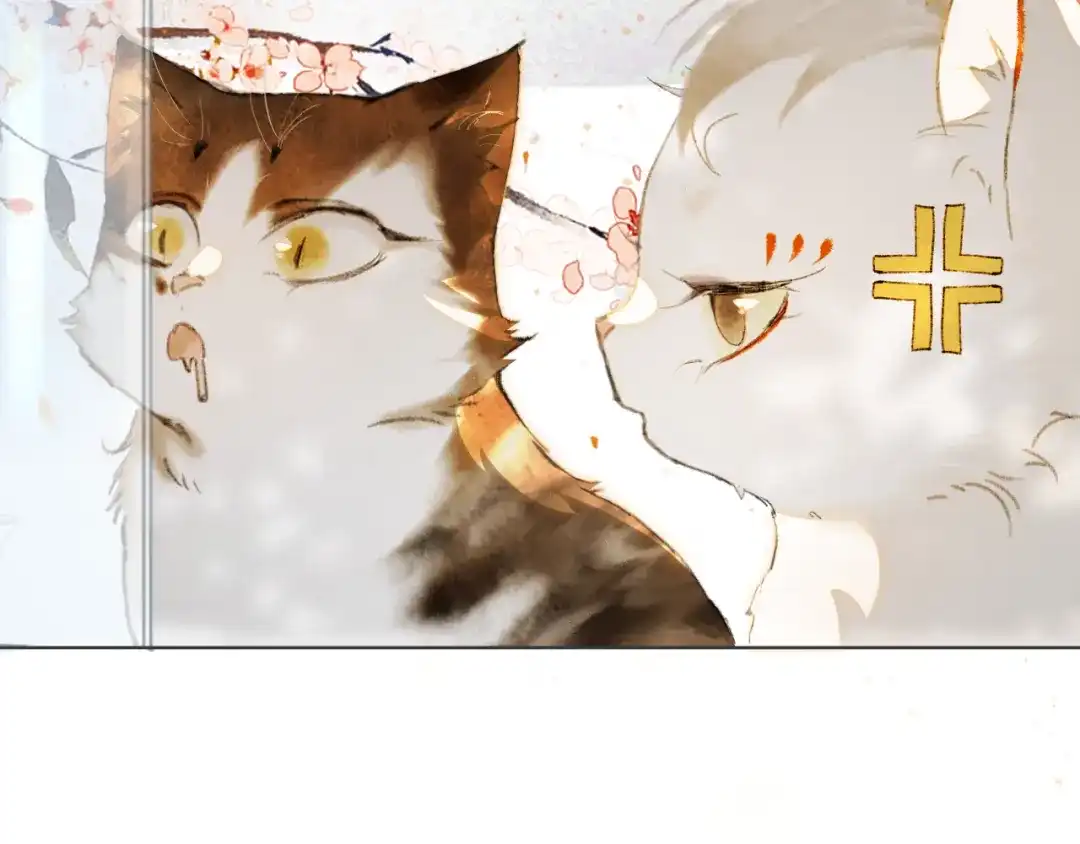 《紫禁·御喵房》第41话 三秋杯的故事 第48页