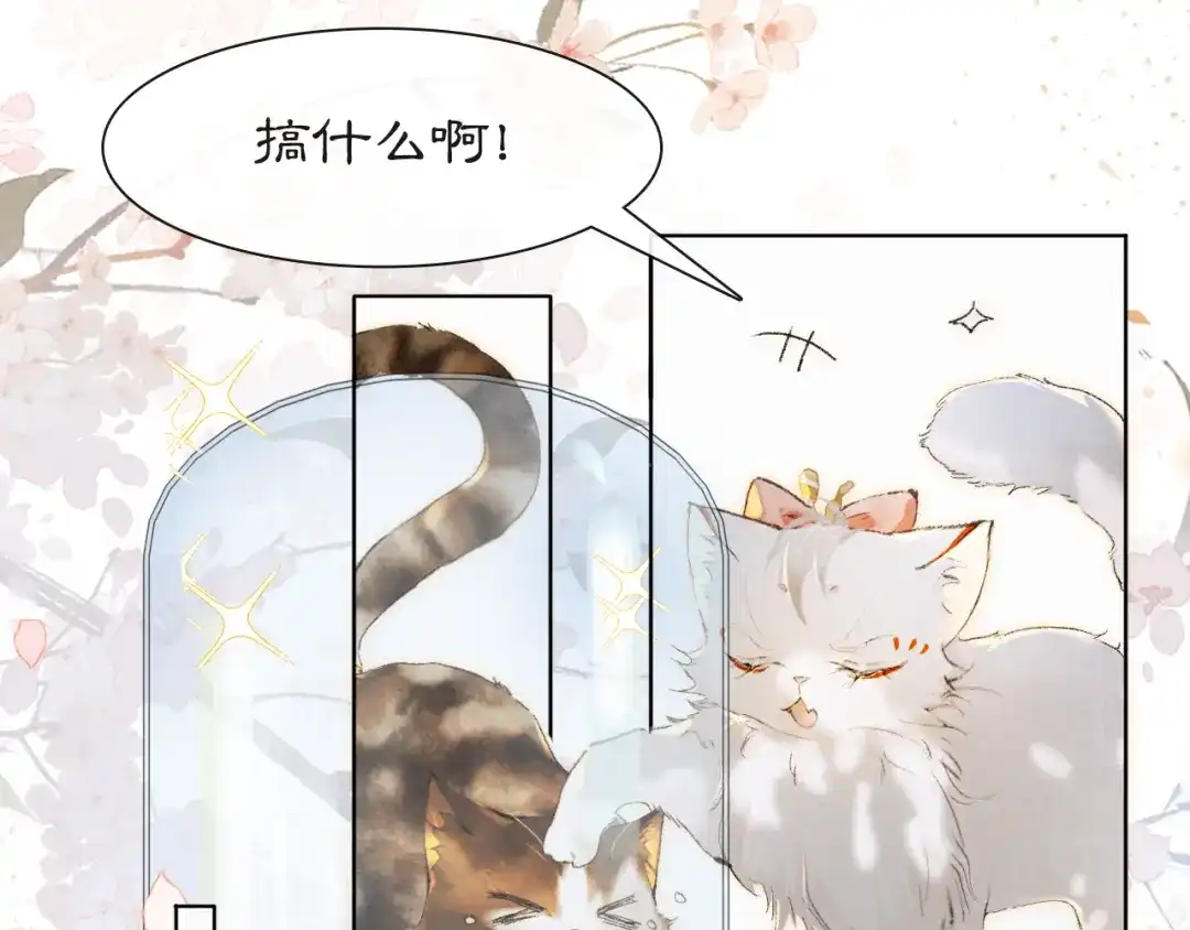 《紫禁·御喵房》第41话 三秋杯的故事 第49页